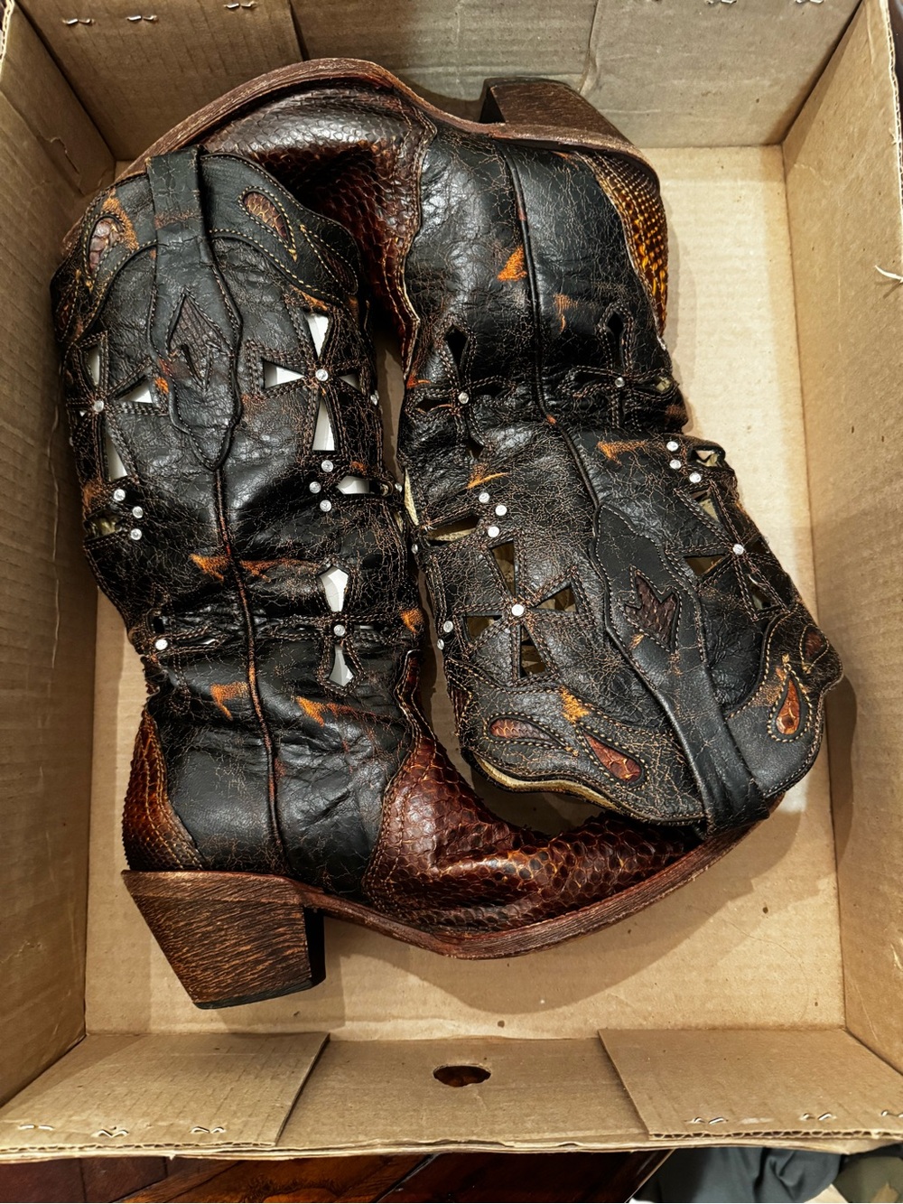 Corral Musgo Python Box in Brown and Tan